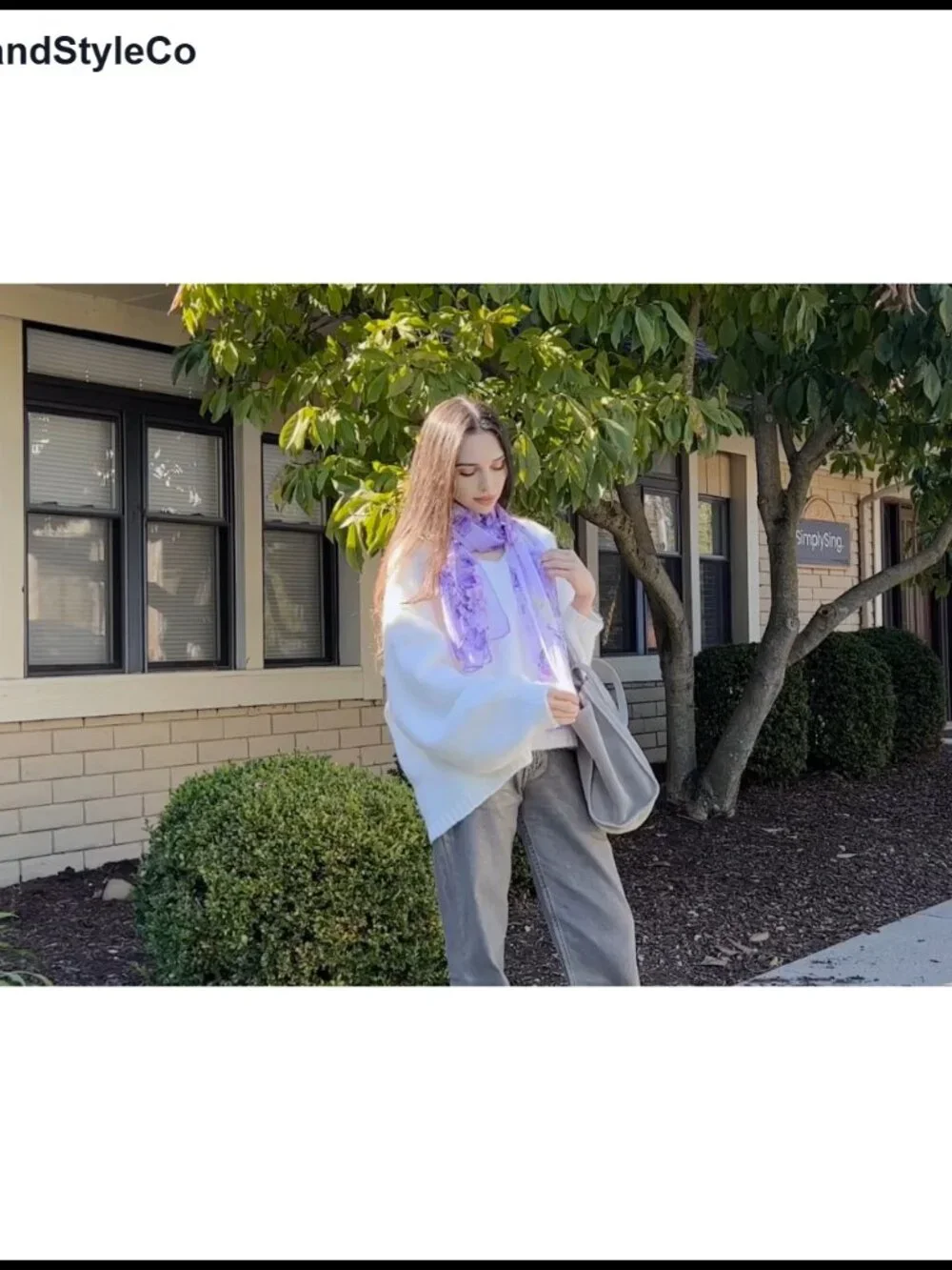 Chiffon Sheer Scarf Leopard Print Lightweight Women's Fashion Shawl